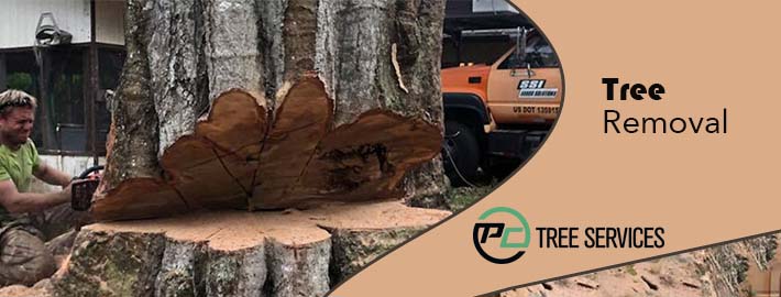 tree Stump removal melbourne