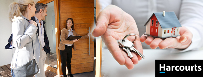 Property Management in Christchurch
