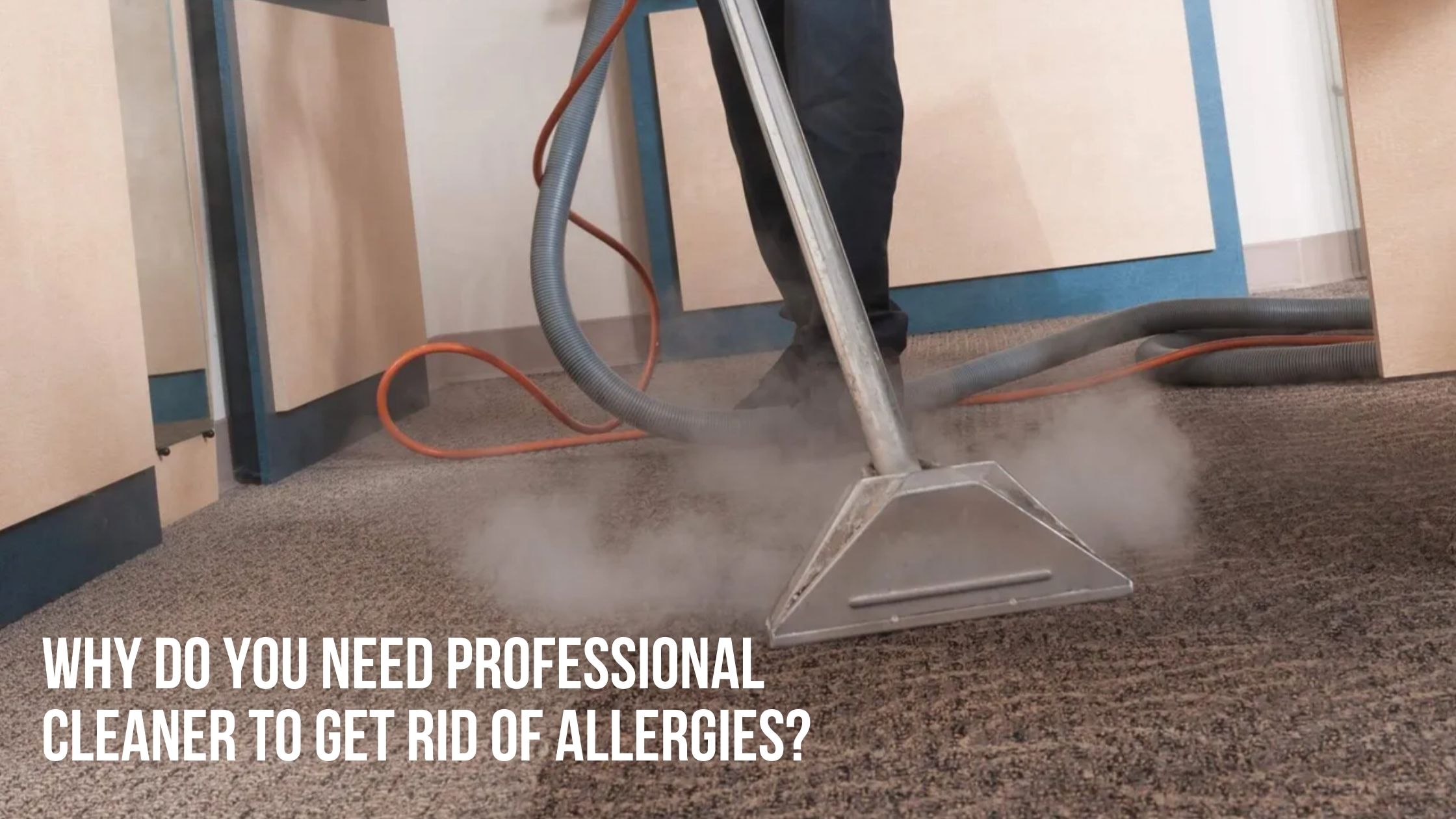 Why Do You Need Professional Cleaner to Get Rid of Allergies (1)