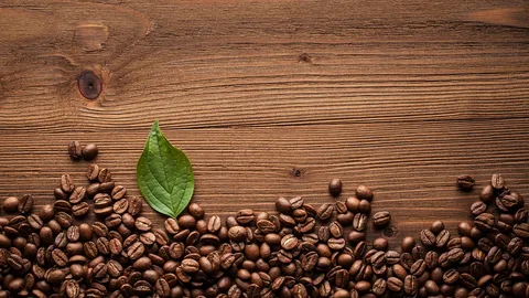 Best Coffee Beans Online